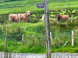 Working farm location