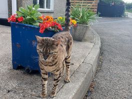 Friendly locals 😍