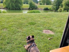Enjoying the views