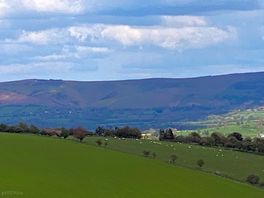 Lovely views