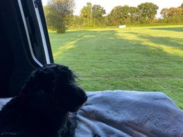Watching the rabbits, squirrels and birds!