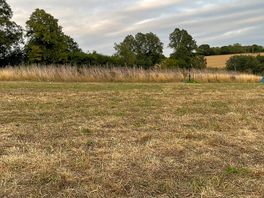 Mowed grass field