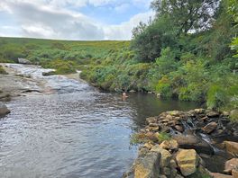Shilley pool