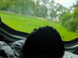 Watching the chickens