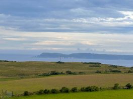 View from the hill