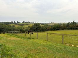 Neighbouring horse paddock