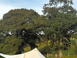 The evening we arrived