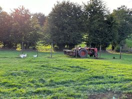 Down on the farm