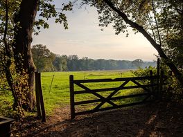 Looking into the meadow from the communal area