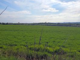 View from little walk, just cross the road and you are on lovely little path between fields!