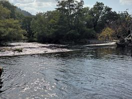 Horse shoe falls