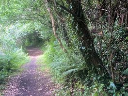 Lovely walking path.