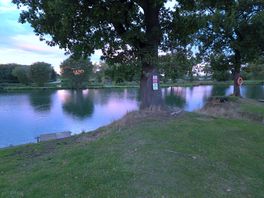 The site