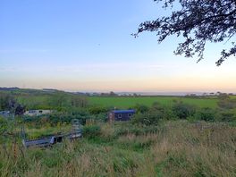 Beaut view