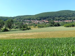 View from our pitch
