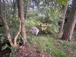 Foraging for dead twigs and branches for our fire