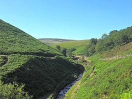 Walk to three shears head