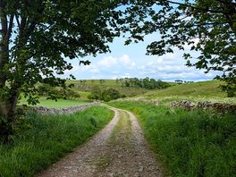 Lovely walk
