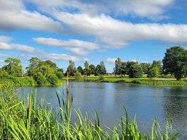 Lake view