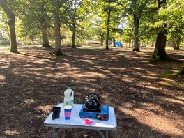 Morning cuppa in the sunshine
