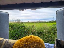 Great view