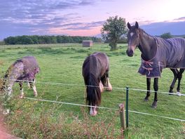 Neighbours