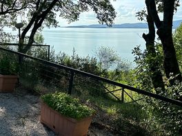 View from bar