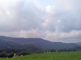 View around site