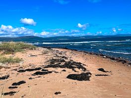 Fresh clean beaches