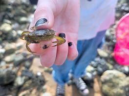 Crabbing