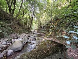 River near by