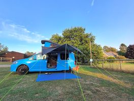 Betty blue all set up.