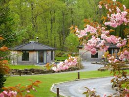 The cabins