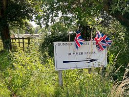 Dummer down farm