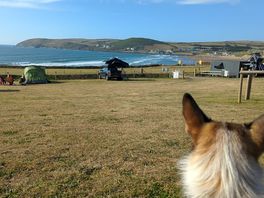Even the dog loved the view
