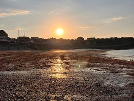 Beautiful sunset at the harbour
