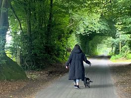 Walk through the lanes to the lakes