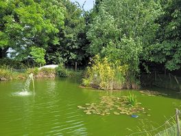 Lovely pond