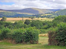 View from our pitch