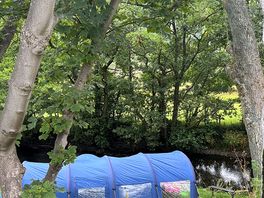 Our pitch