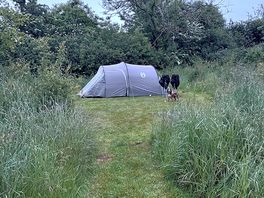Mowed in grass pitches were great fun & gave privacy.