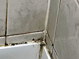 Showers