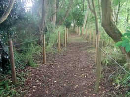 Woodland walk from the car to the orchard
