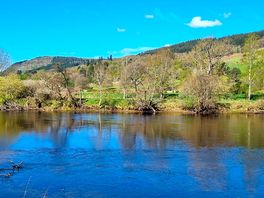 Views on the walk from grandtully to aberfeldy