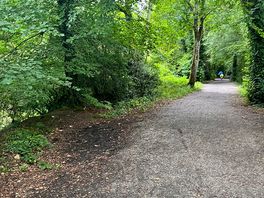 Wood land walk