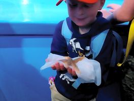 Lyme regis aquarium
