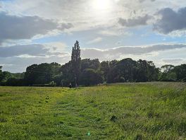 Walks