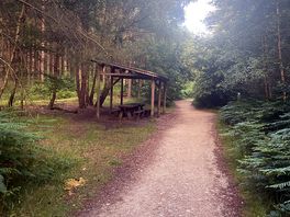 Fantastic woodland walks. so many to choose from.