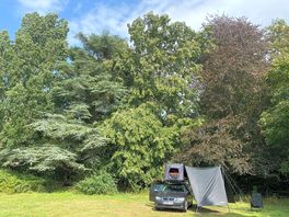 Lime, beech, ceder, yew, scots pine, maple… fantastic!!