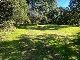 Wild camping field